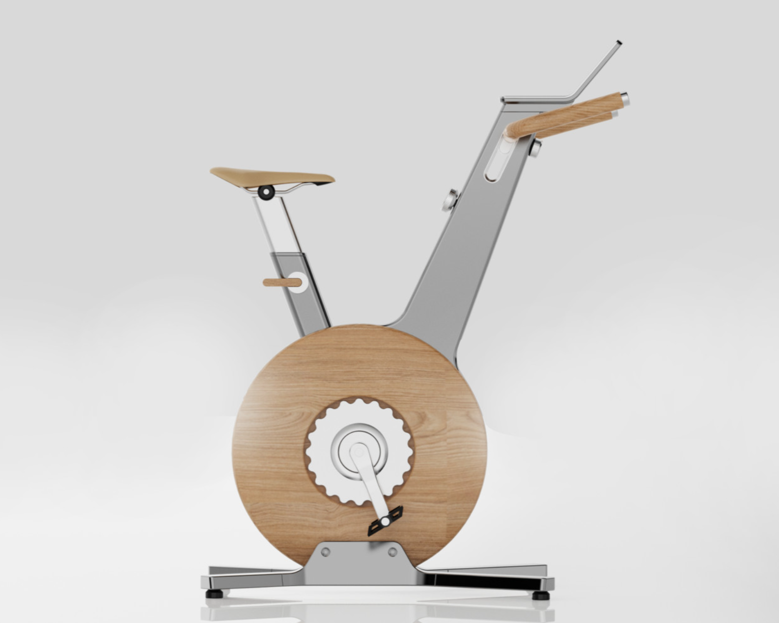 Luxury Indoor Bike